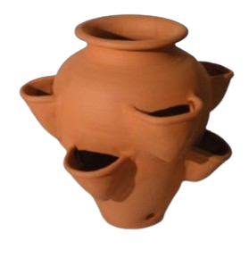 Morangueiro