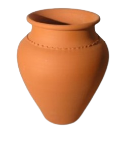 Pote Coimbra