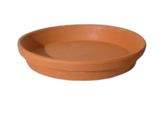 Prato