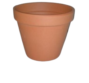 Vaso Tradicional